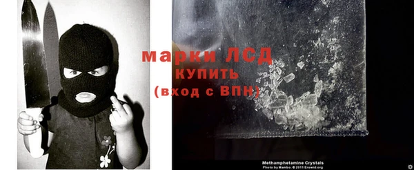 индика Арсеньев