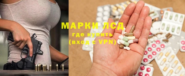 индика Арсеньев