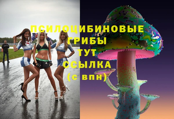 индика Арсеньев