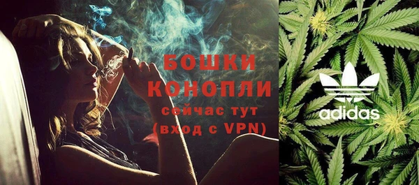 индика Арсеньев