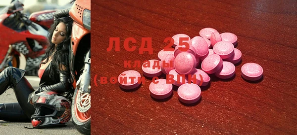 индика Арсеньев