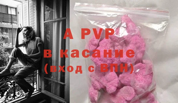 индика Арсеньев