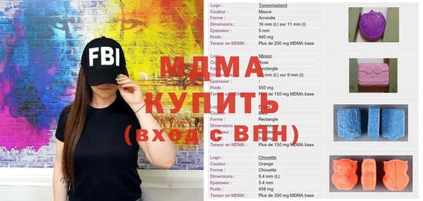 индика Арсеньев
