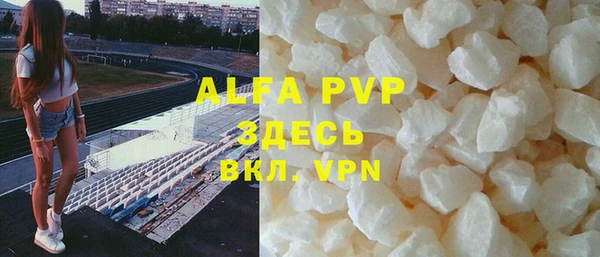 индика Арсеньев