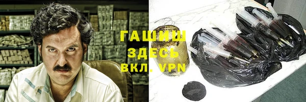 индика Арсеньев