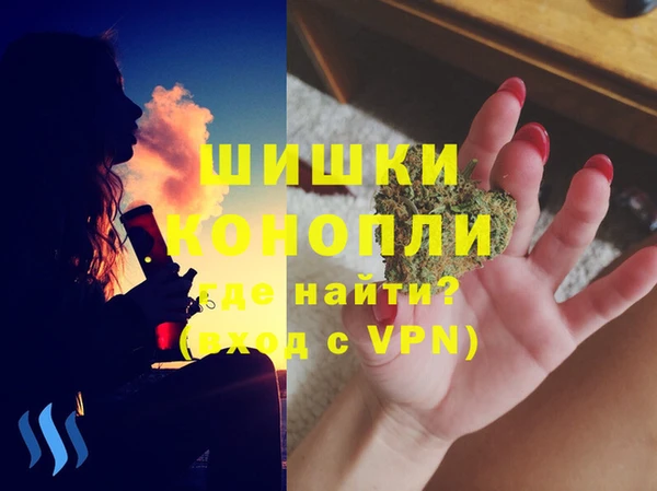 индика Арсеньев