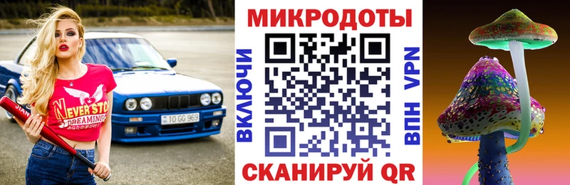 Псилоцибиновые грибы Psilocybe  Купить закладки  Семилуки 
